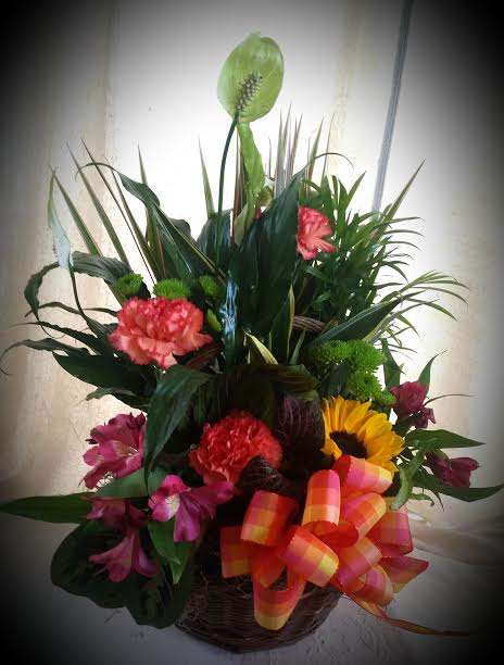 Traditional Dish Garden In Chesterfield Nj Chesterfield Floral Co