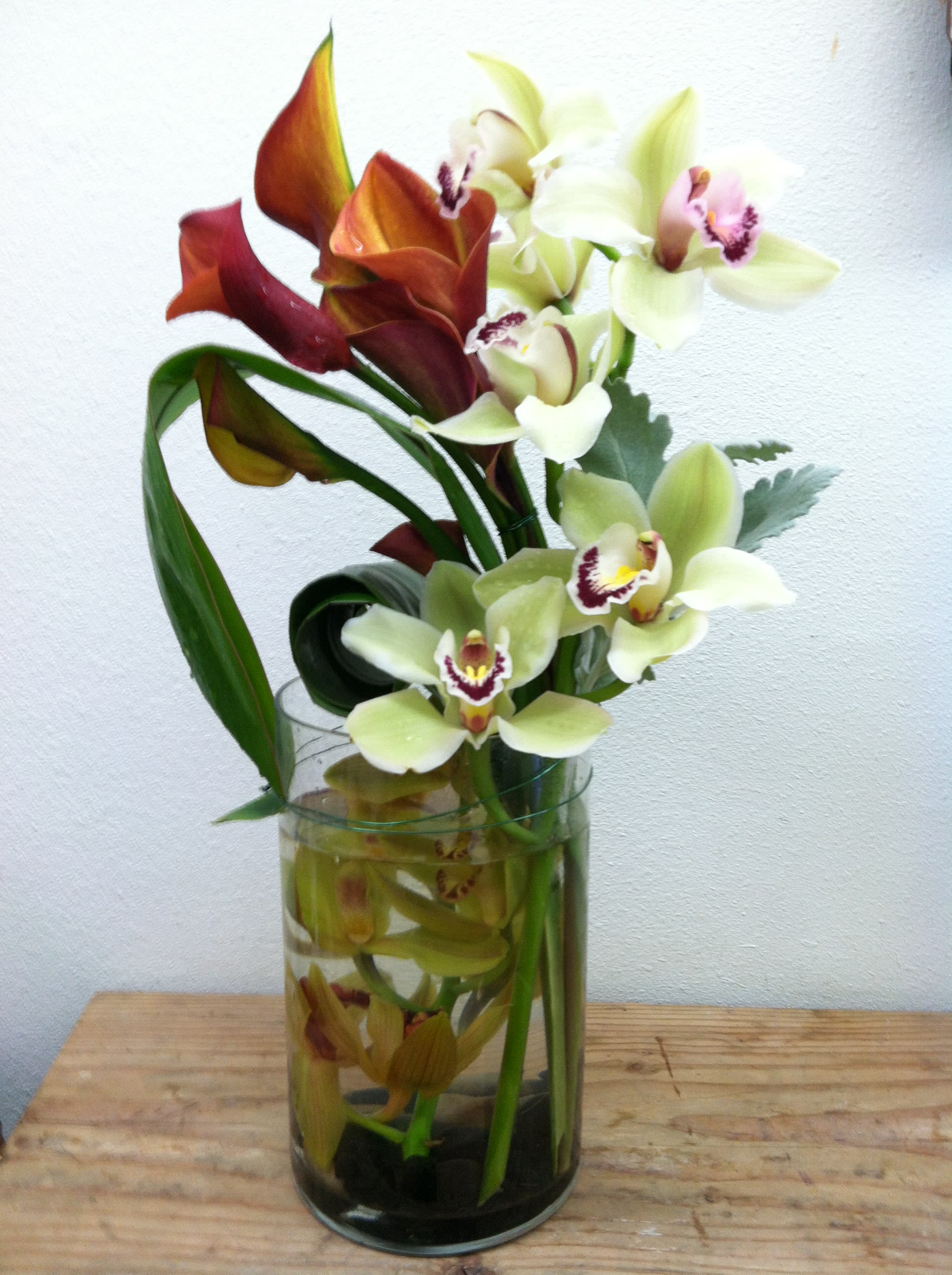 Tropical Beauty in Manhattan Beach, CA | Manhattan Village ...