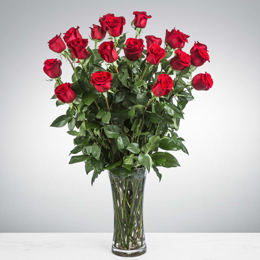 Two Dozen Long Stemmed Roses By Bloomnation In Irvine Ca Grand Floral Events