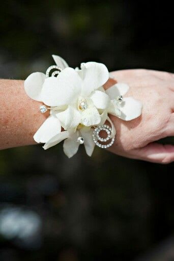 Golden Orchid By Glendale Flowers