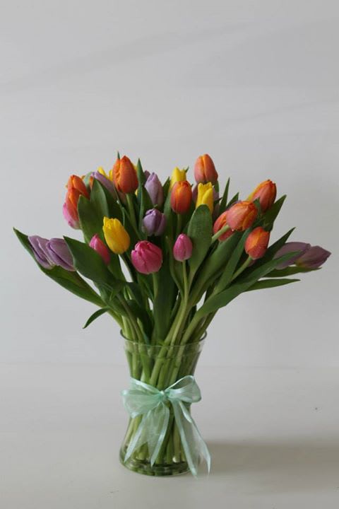 Dancing Tulips in Newport Beach, CA | Newport Beach Flora