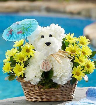 RUTH MESSMER FLORIST BEACH DOG in Fort Myers, FL | Ruth ...