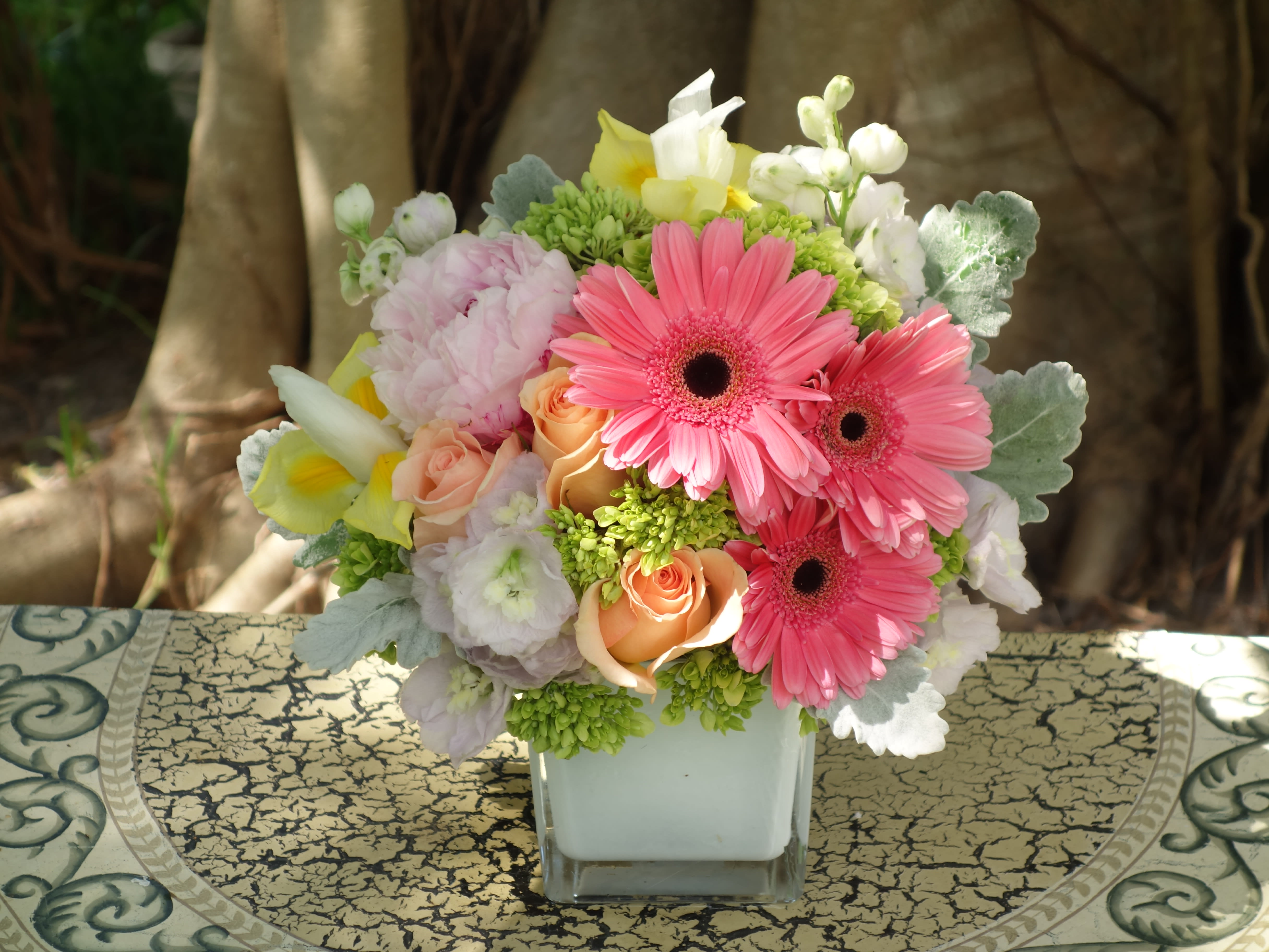 Catch The Kiss in Venice, FL | Venetian Flowers