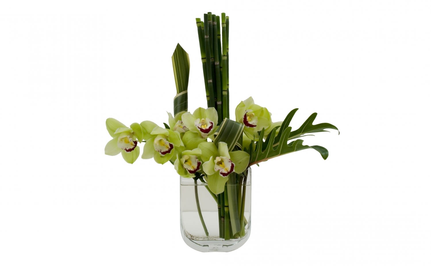 Modern Cut Cymbidium Orchid Vase in Los Angeles, CA Flamingo's Flower