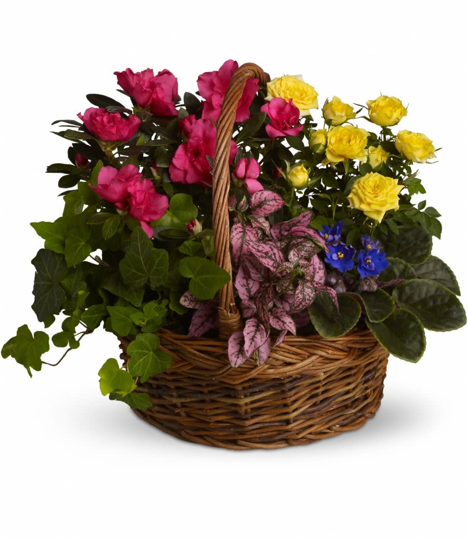 Blooming Garden Basket in San Diego, CA Del Mar Floral & Gifts
