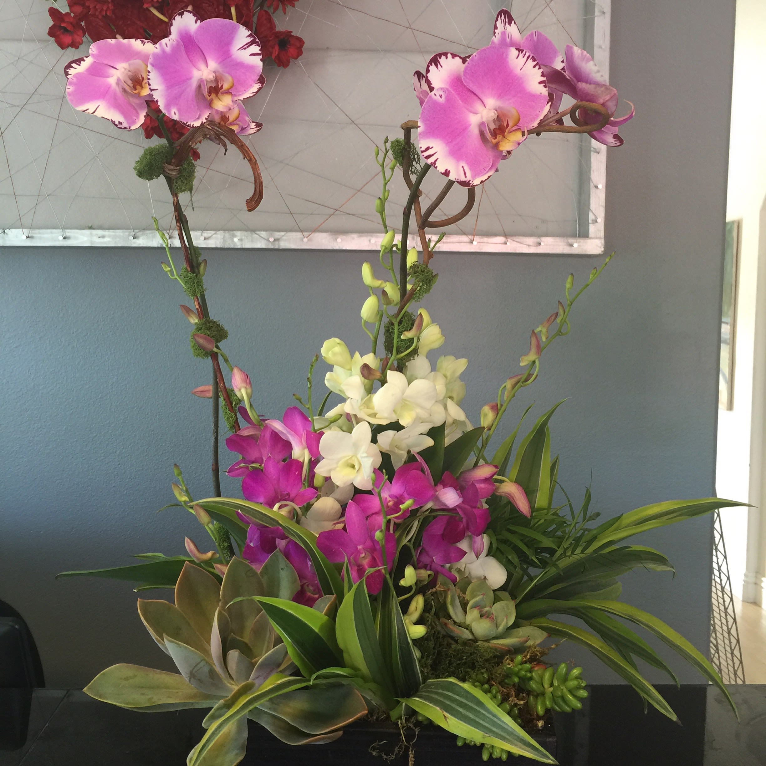 Flourishing Orchids In Encinitas Ca Floral Design By Ari