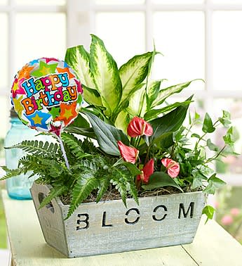 Happy Birthday Garden In Rockford Il Flowers And Balloons By Haley
