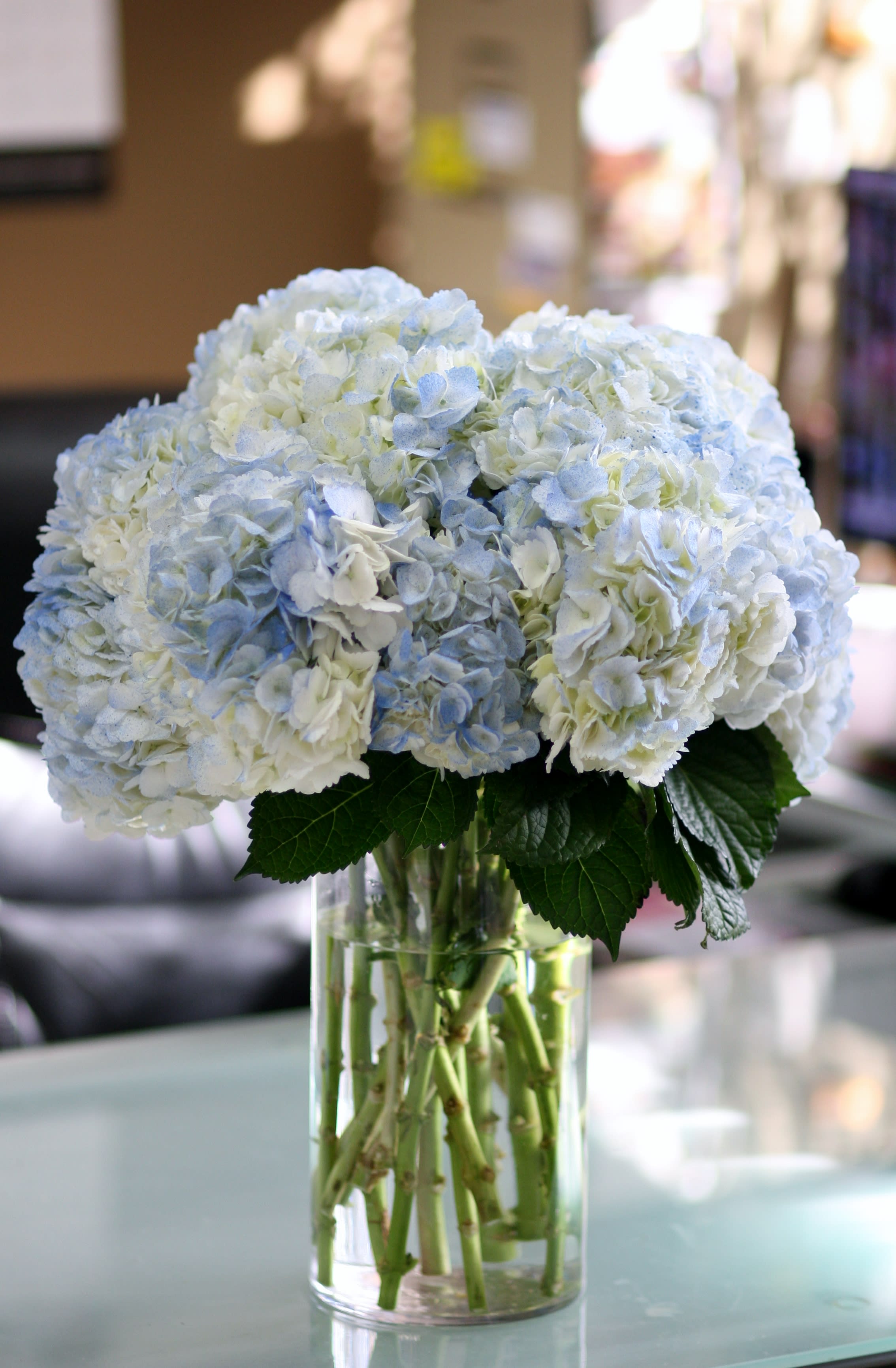 Hydrangea vase by West Hollywood Florist file 5a2f1f40e461b