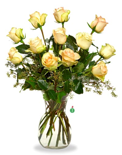 a dozen cream roses
