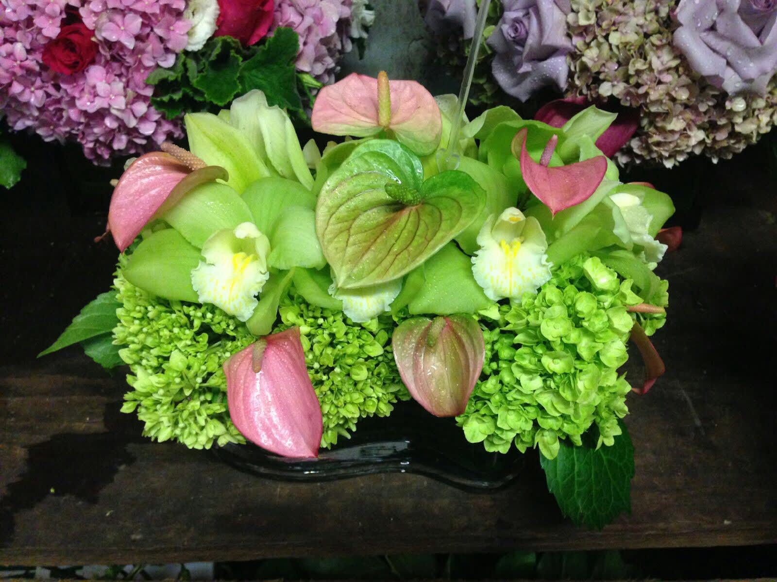 Brooke's favorite in Redondo Beach, CA Brooke's Flowers