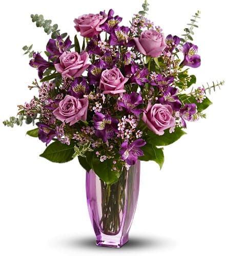 Teleflora's Dreaming of Roses - by Zahn's Flowers & More ...