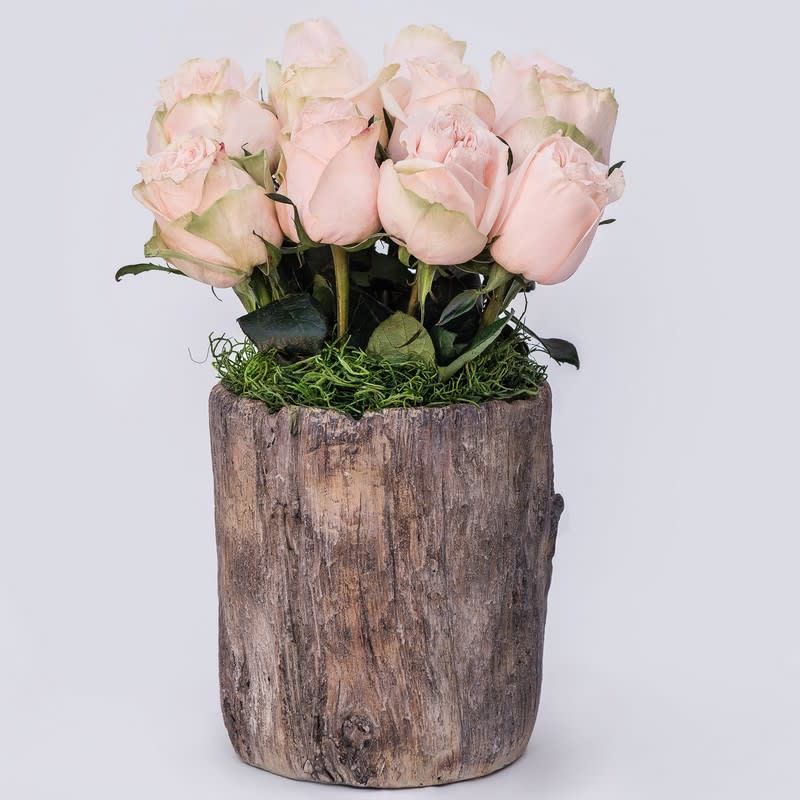 Wild Rose By Sada S Flowers