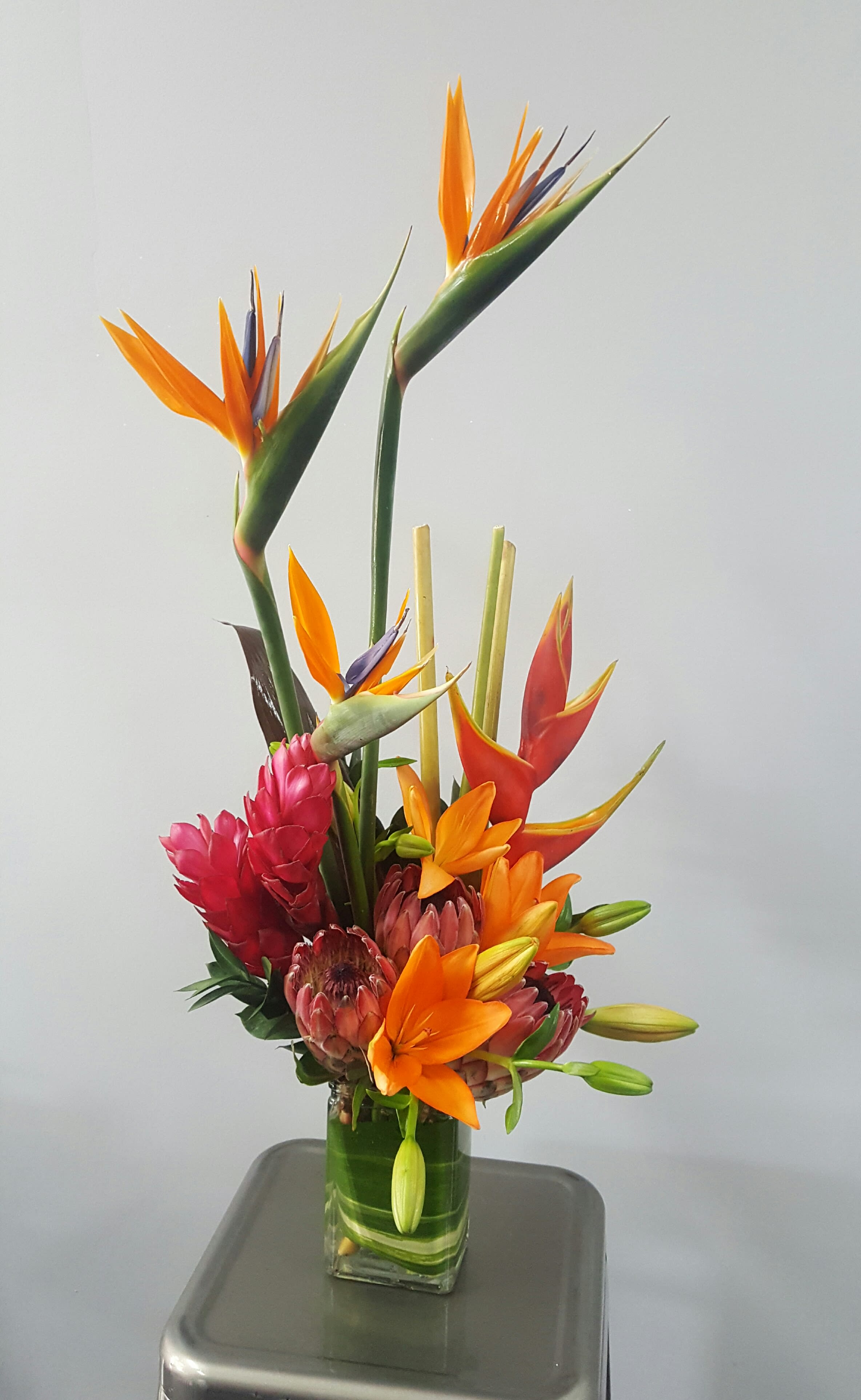 Tropical Breeze in Goodyear, AZ Thompson's Flower Shop