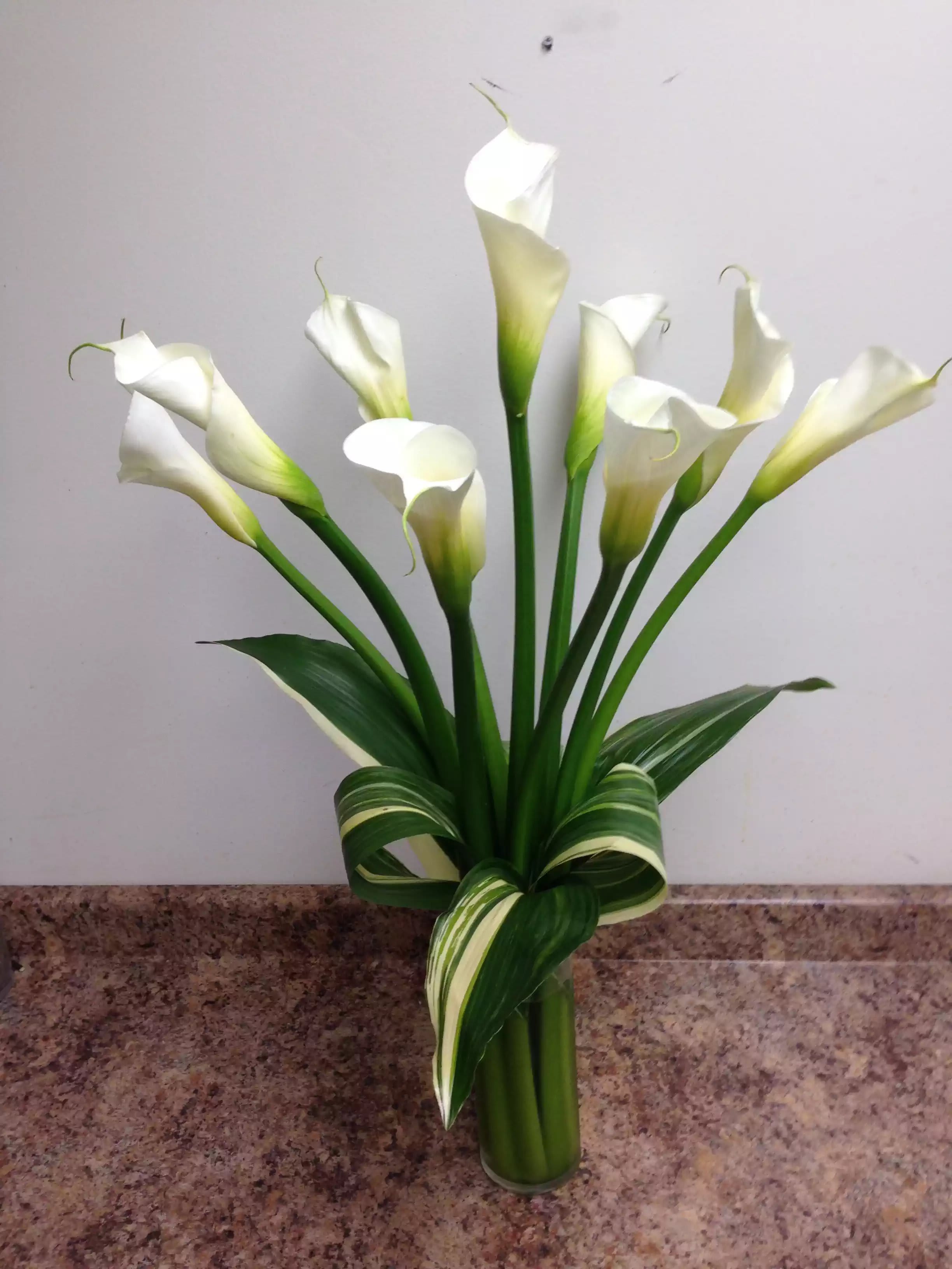 Calla Lillies in Peabody, MA Maria's Flowers & Gifts