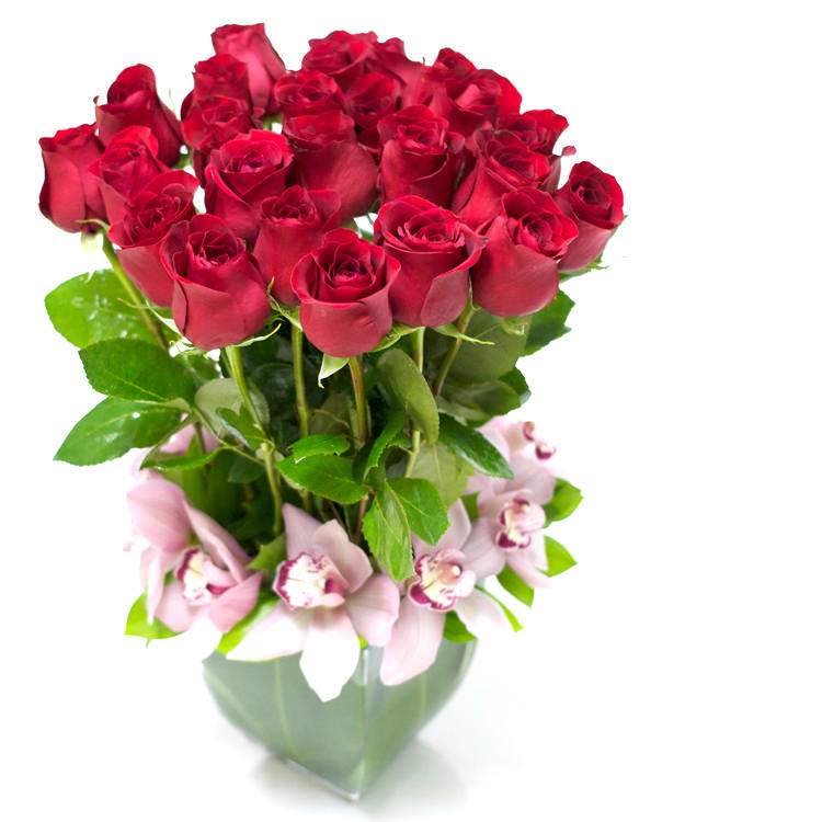 2 dozen roses and