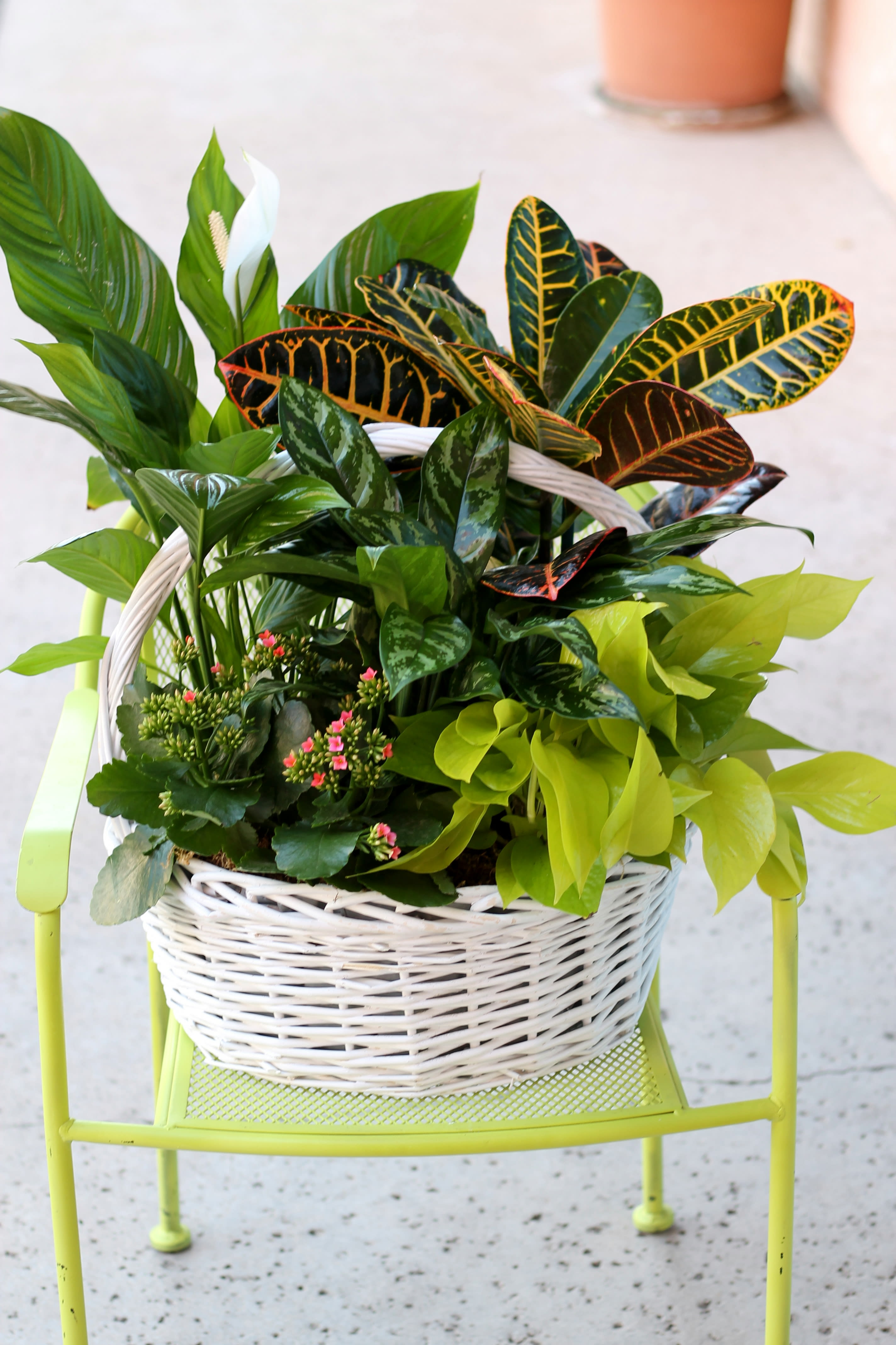 Large Planter Basket in Simi Valley, CA Michael's Flowers