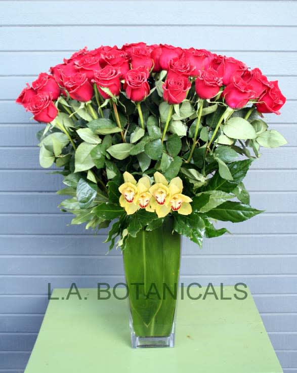 Four Dozen Roses Four Dozen Roses