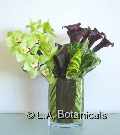 Ultra Mod In Los Angeles Ca L A Botanicals