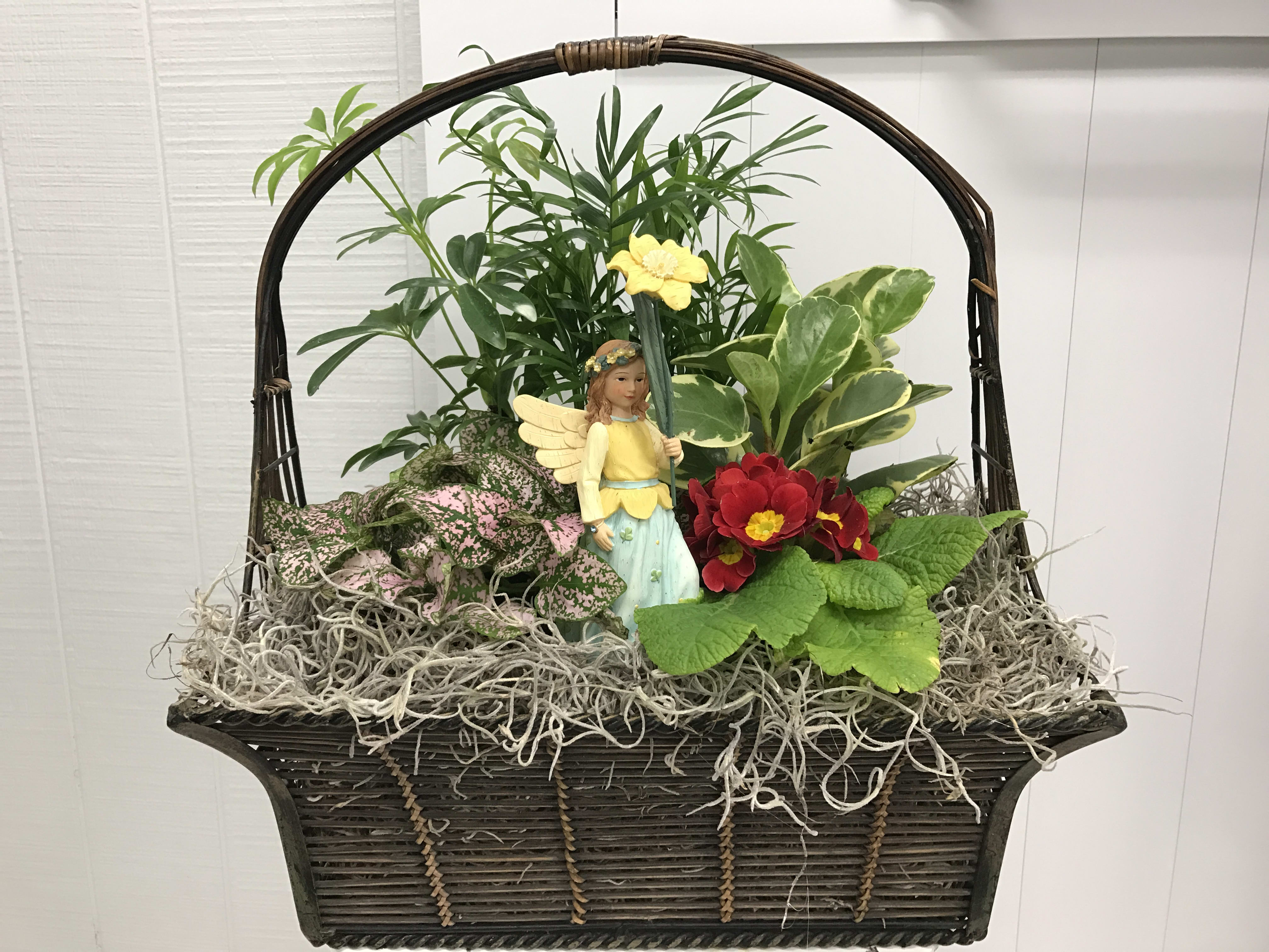 Dish Garden 2 in Norwood Young America, MN | Gemma Floral & Gifts