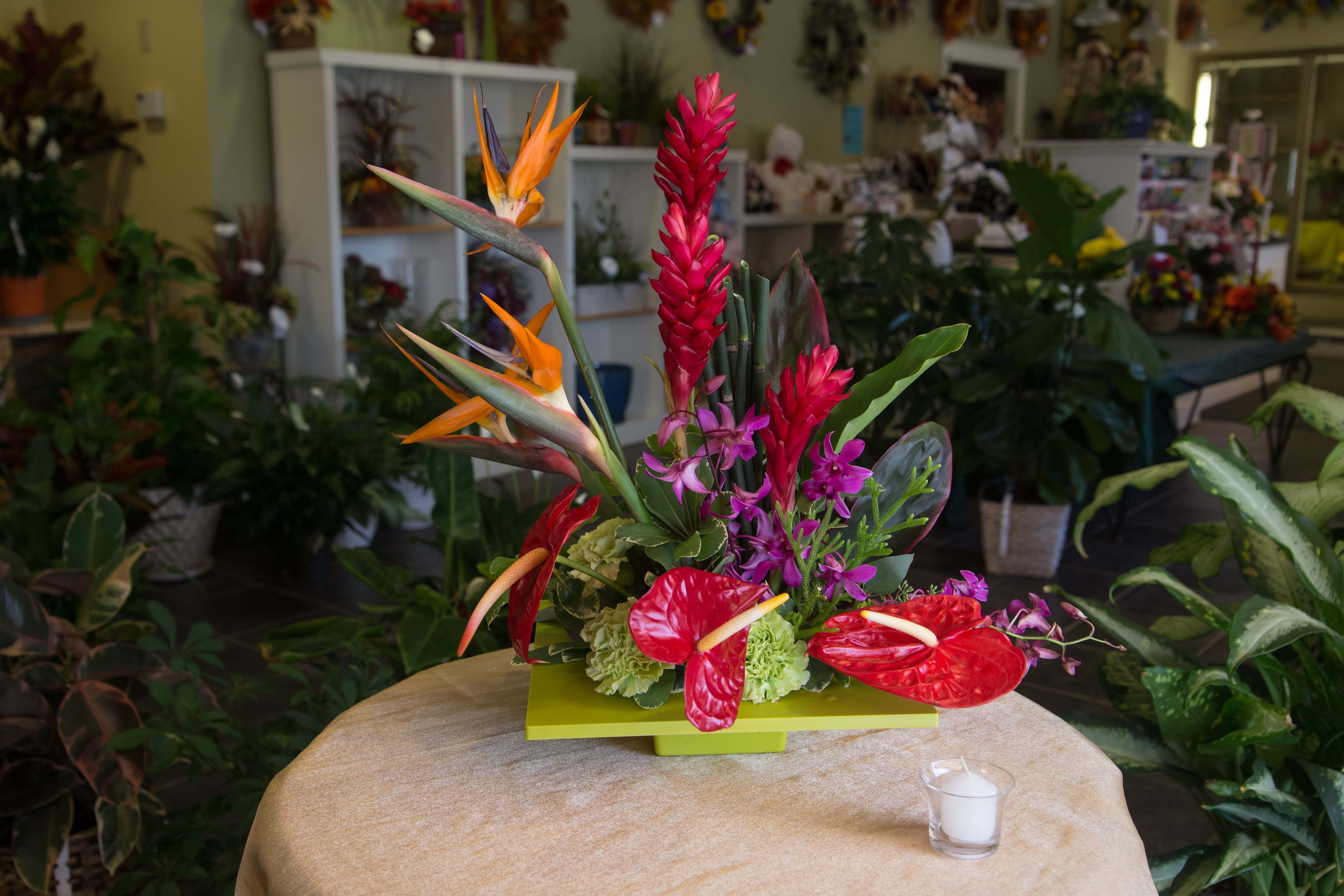 Calypso in New Bedford, MA Garlington Florist