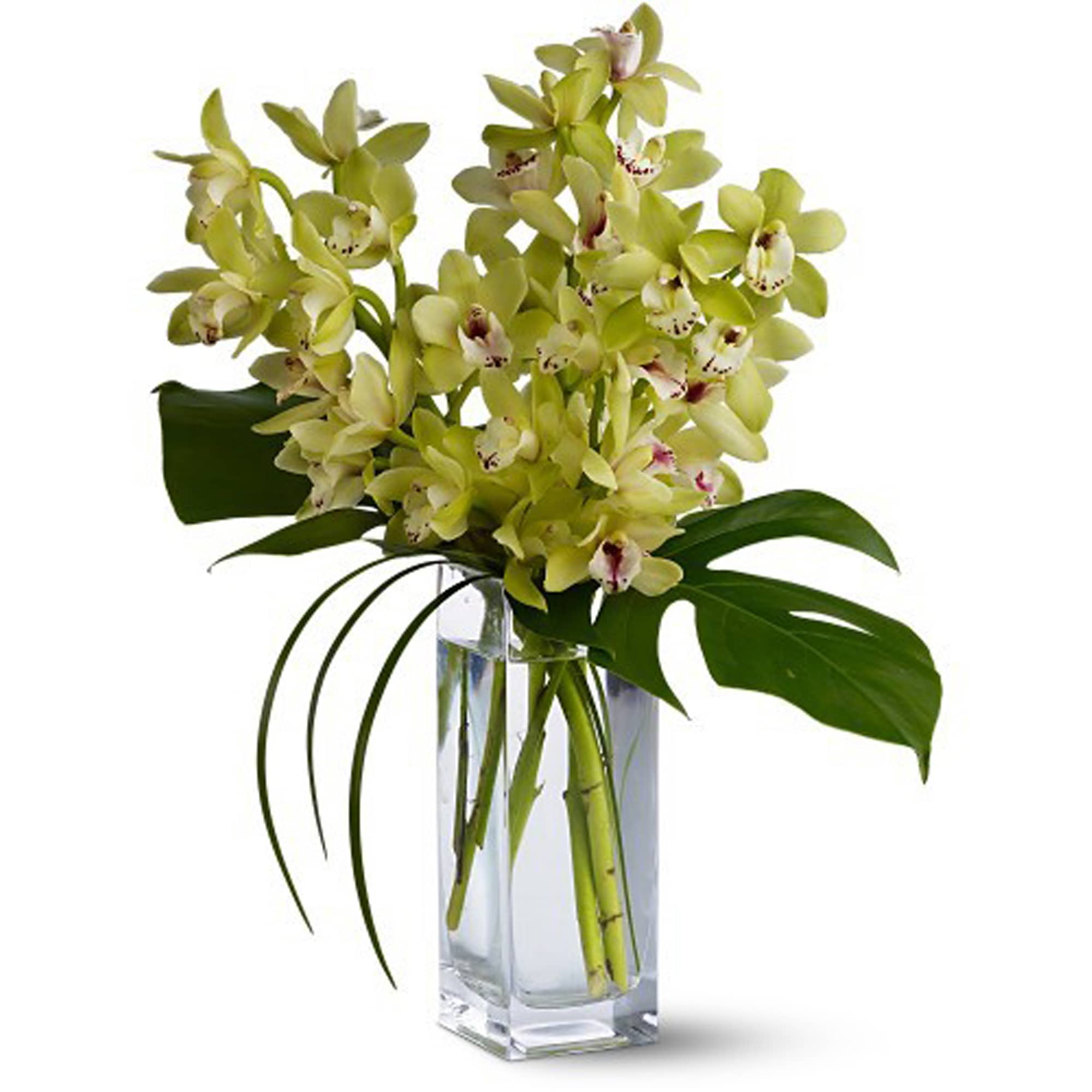 Telefloras Orchid Elegance In Fort Lauderdale Fl La Fleur Florals And Events