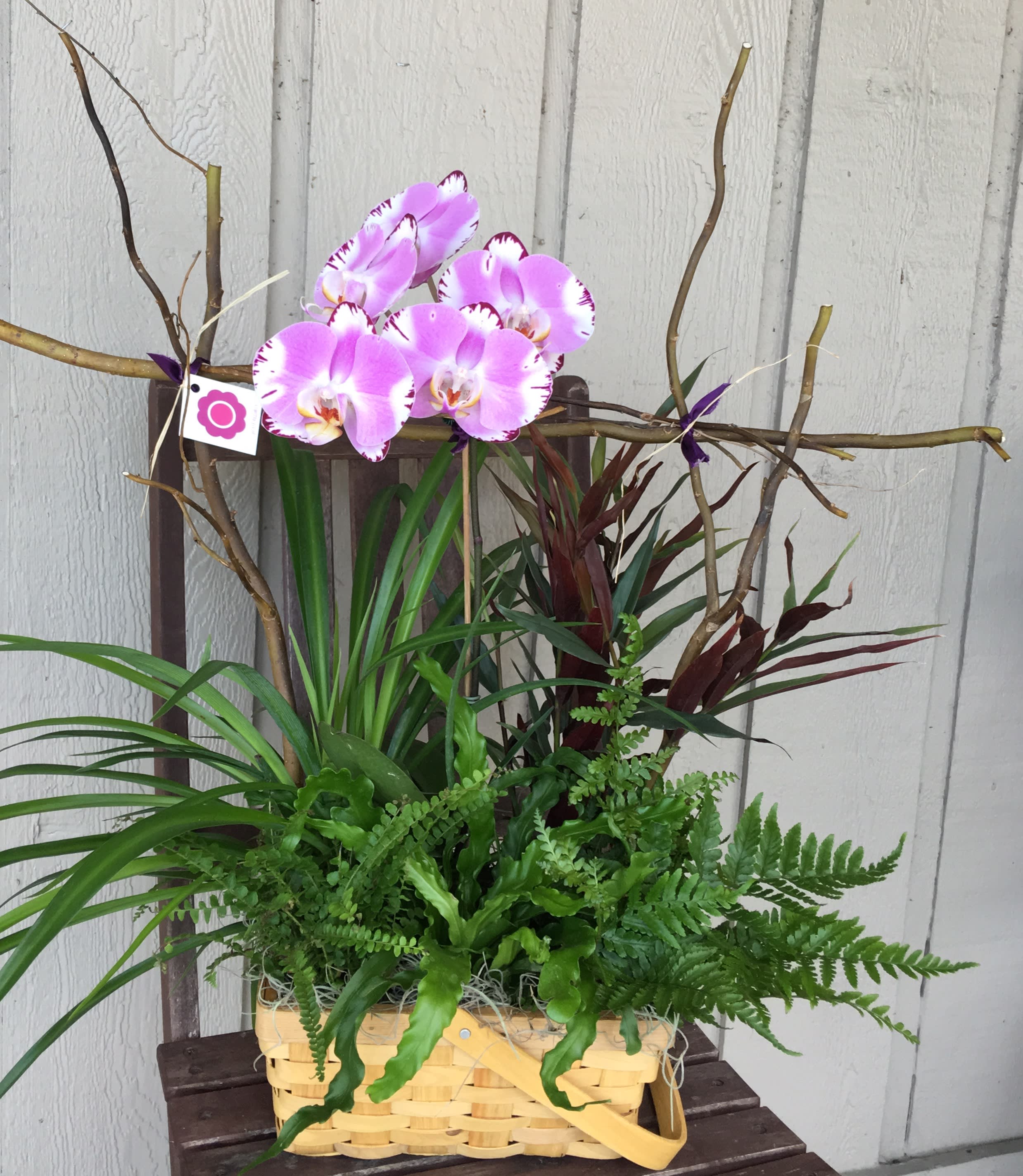 Garden With Orchid In Altamonte Springs Fl The Flower Studio