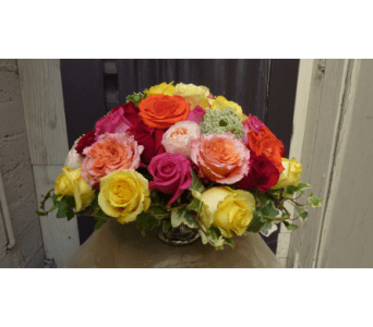 Regal Roses By Westwood Flower Garden