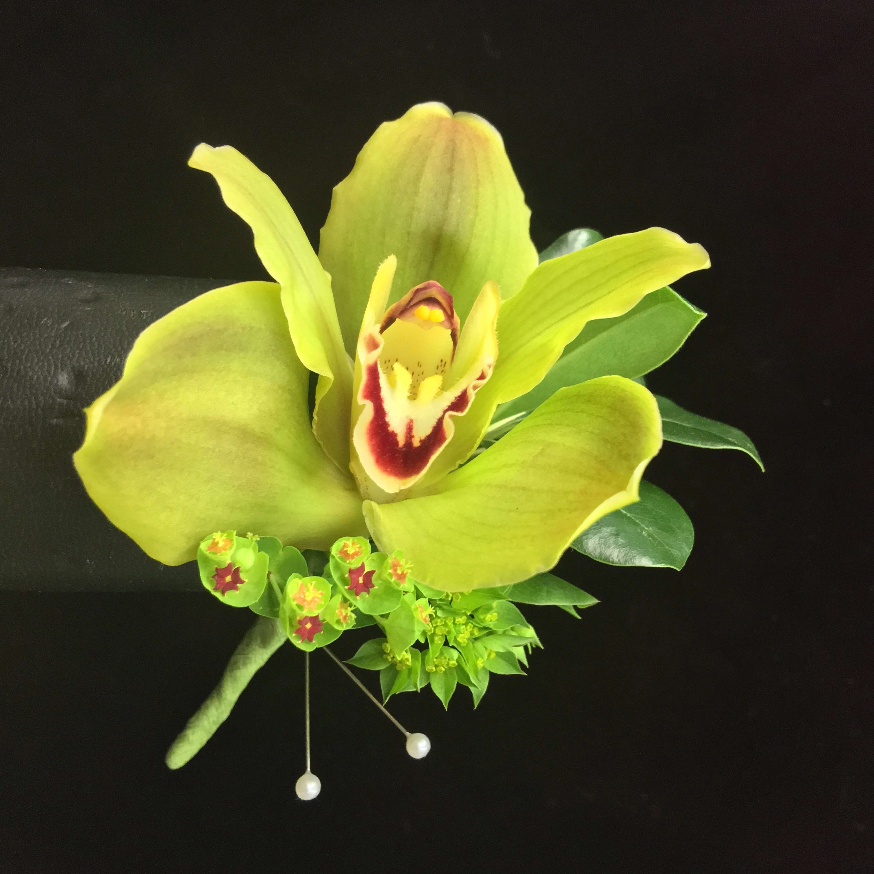 Green Cymbidium Boutonnière In Mclean Va Flowers And Plants Etc 