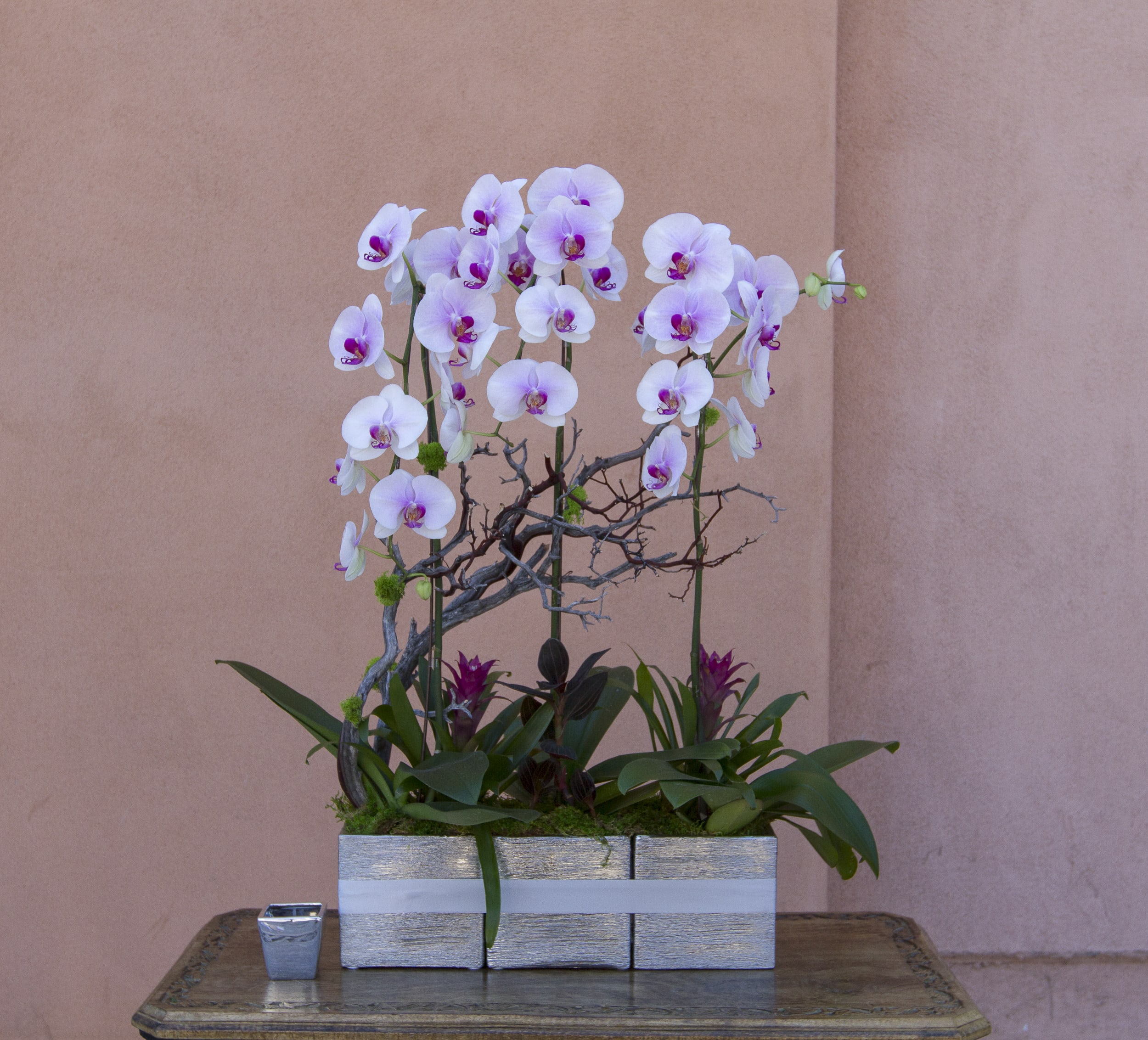 orchid arrangement 29 in Tarzana, CA | Flowers and Designs ...