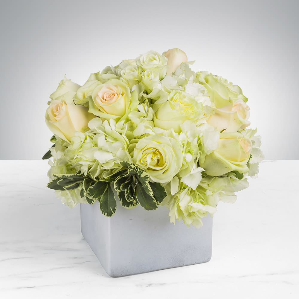 Simplicity By Bloomnation In Miami Fl Mille Fleurs Miami