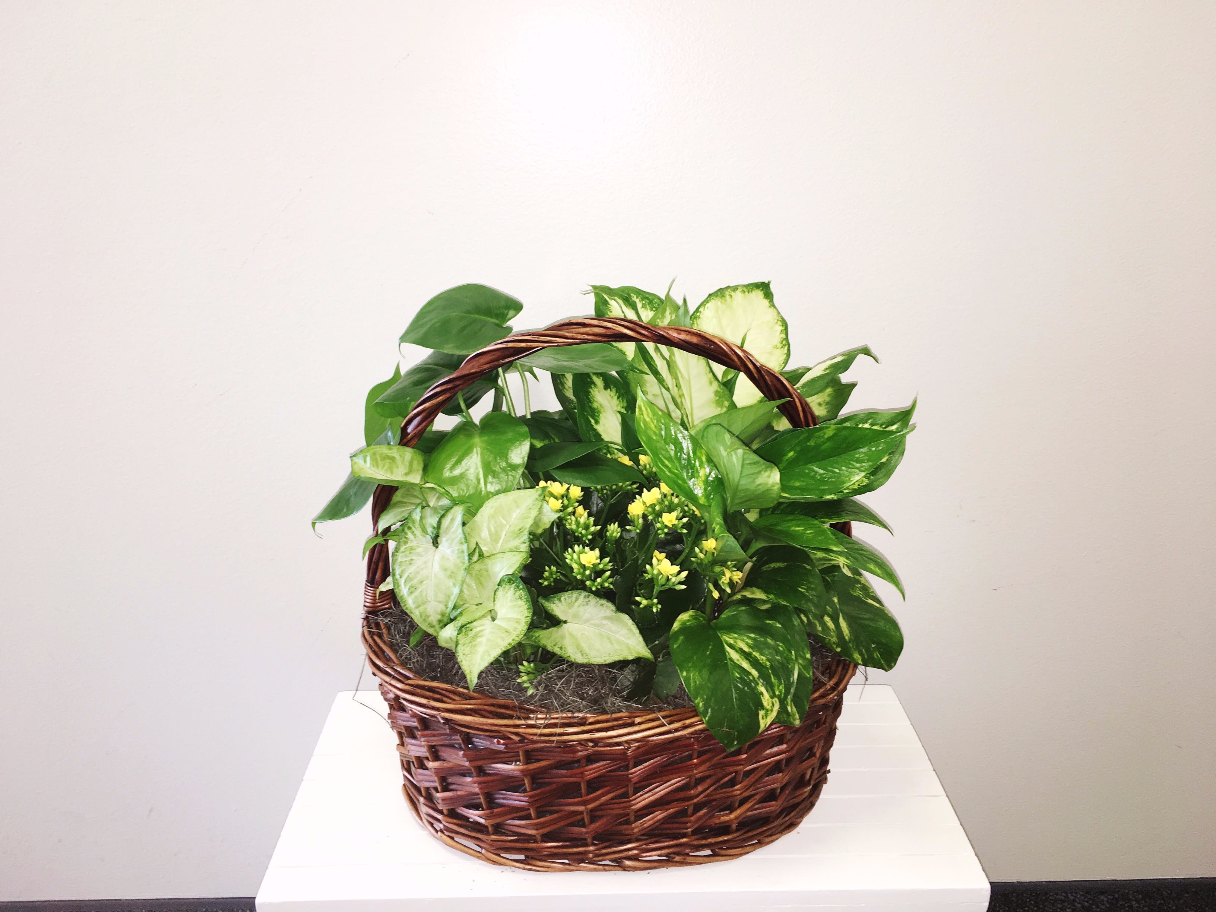 Extra Large Flowering Garden Basket in Provo, UT BYU Campus Floral