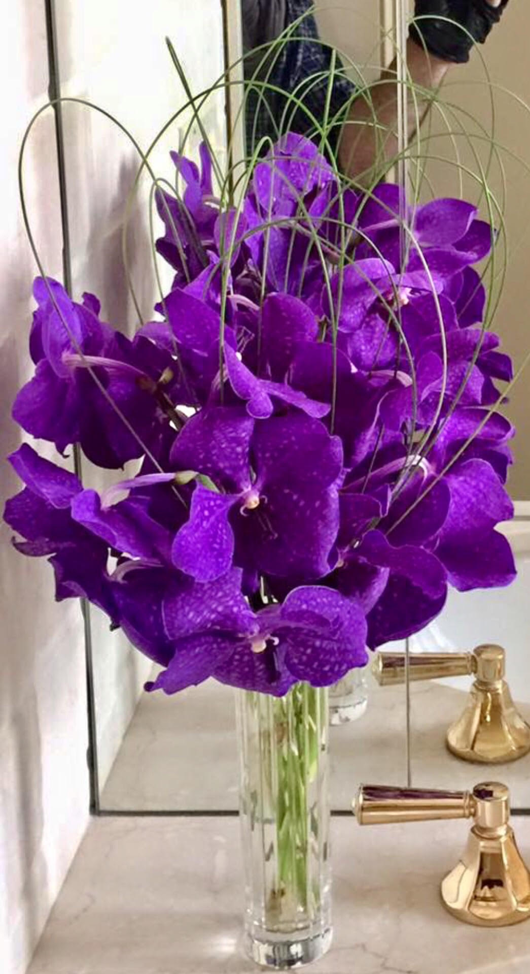 Color Me Purple In New York Ny Richard Salome Flowers Inc