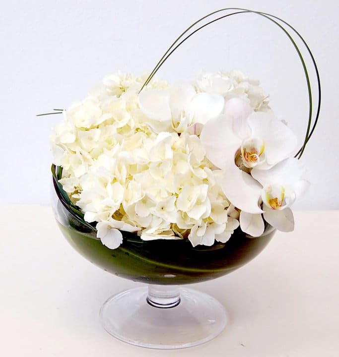 Orchids in a Bowl in Miami Beach, FL Miami Beach Flowers®