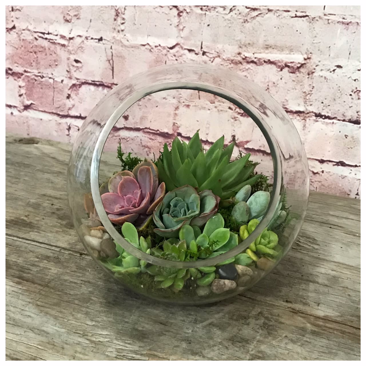Succulent Terrarium In Santa Fe Springs Ca Le Fleur Fl Couture