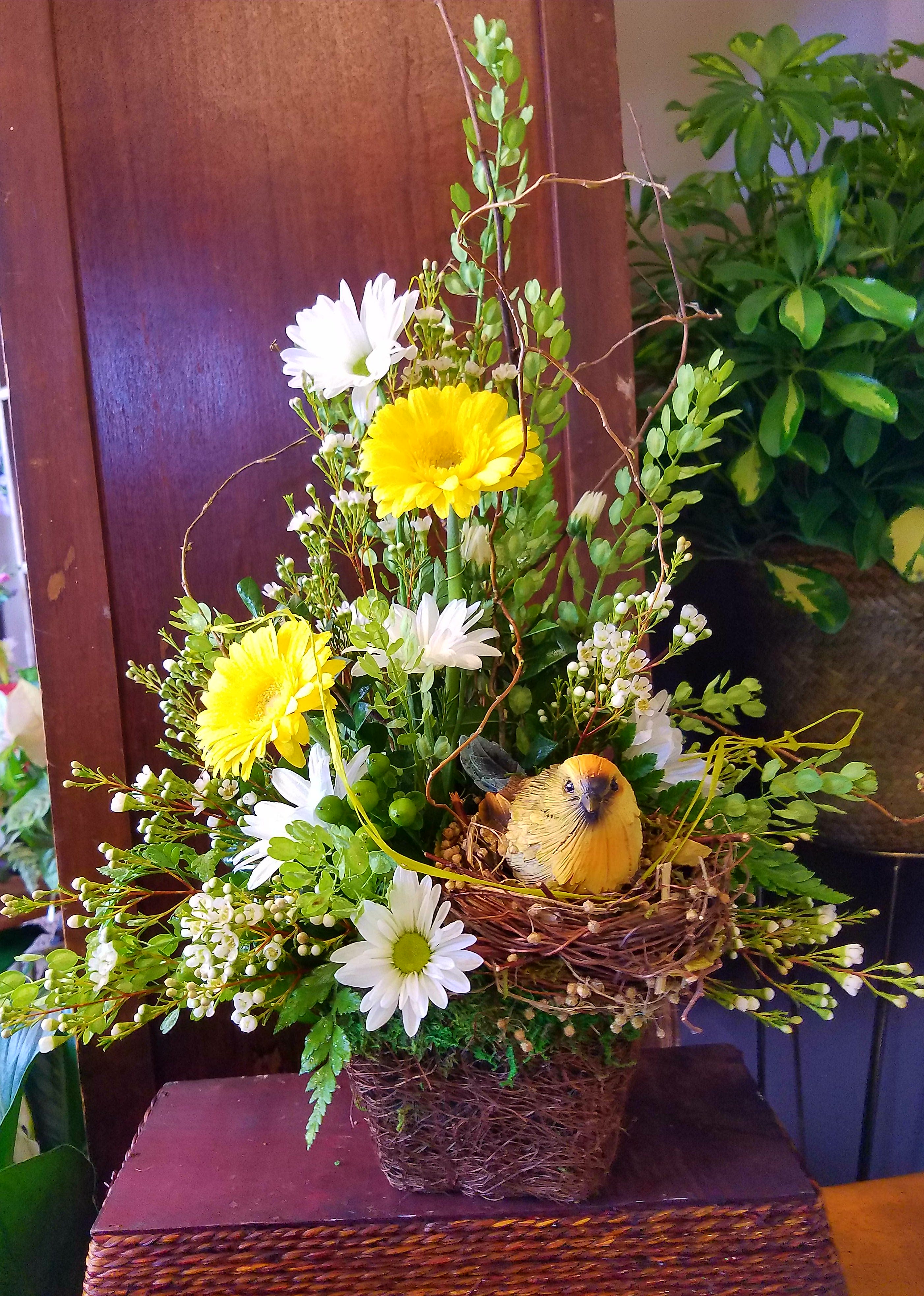 Eckert Florist's Birdnest Arrangement in Belleville, IL ...