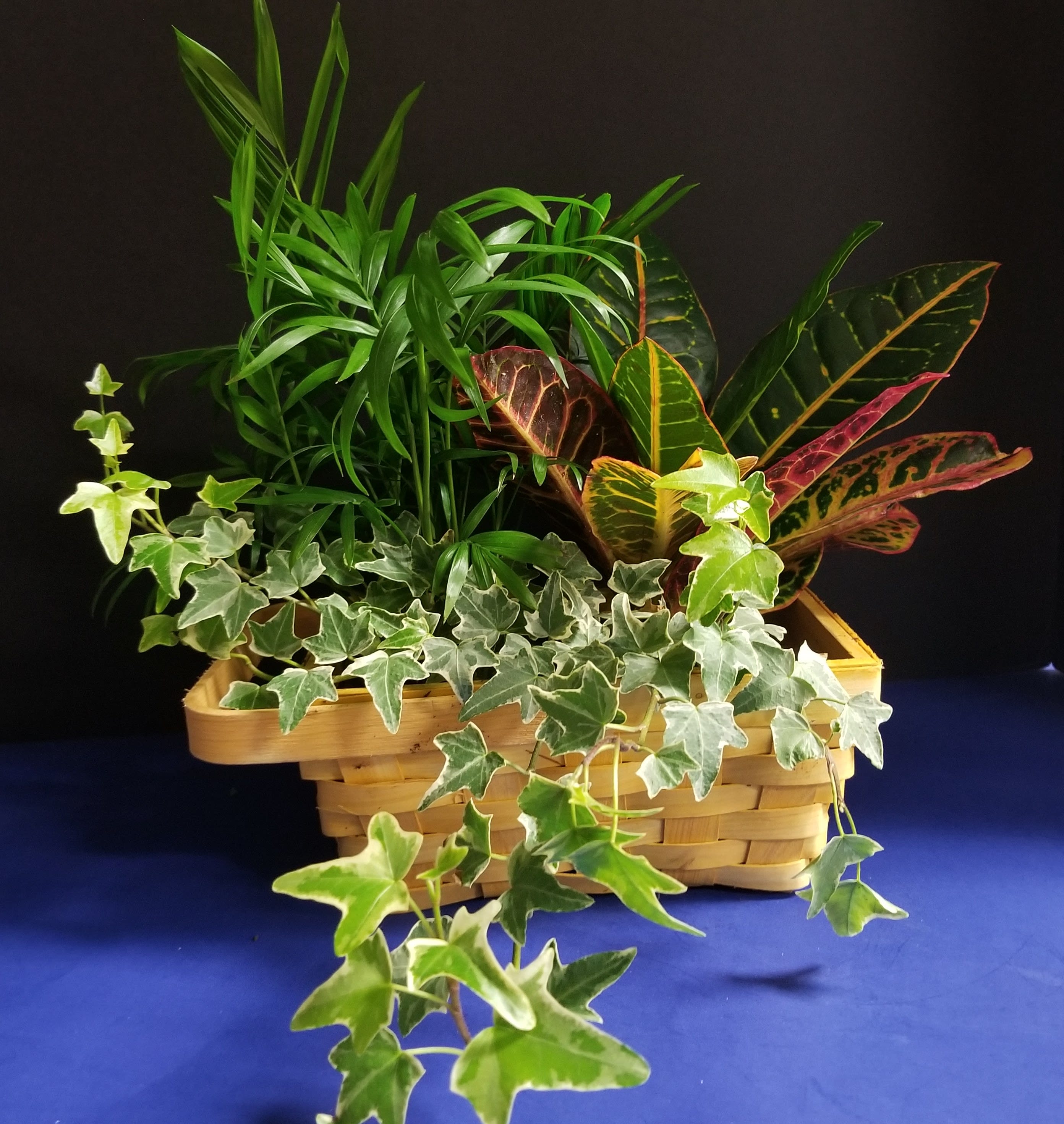 Traditional Dish Garden In Seattle Wa Avant Garden Florist