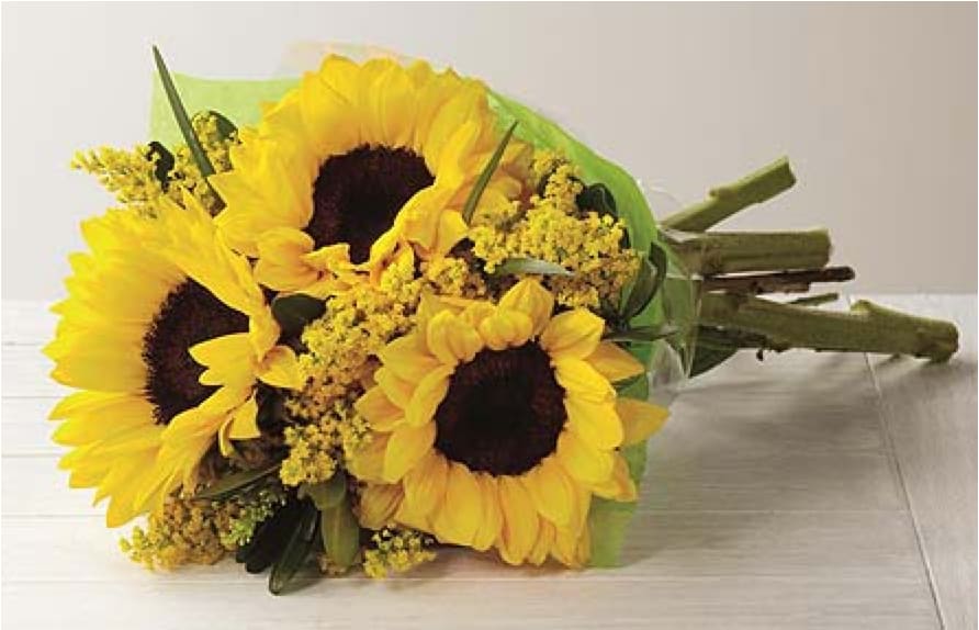 Teddy Bear Sunflower Bouquet