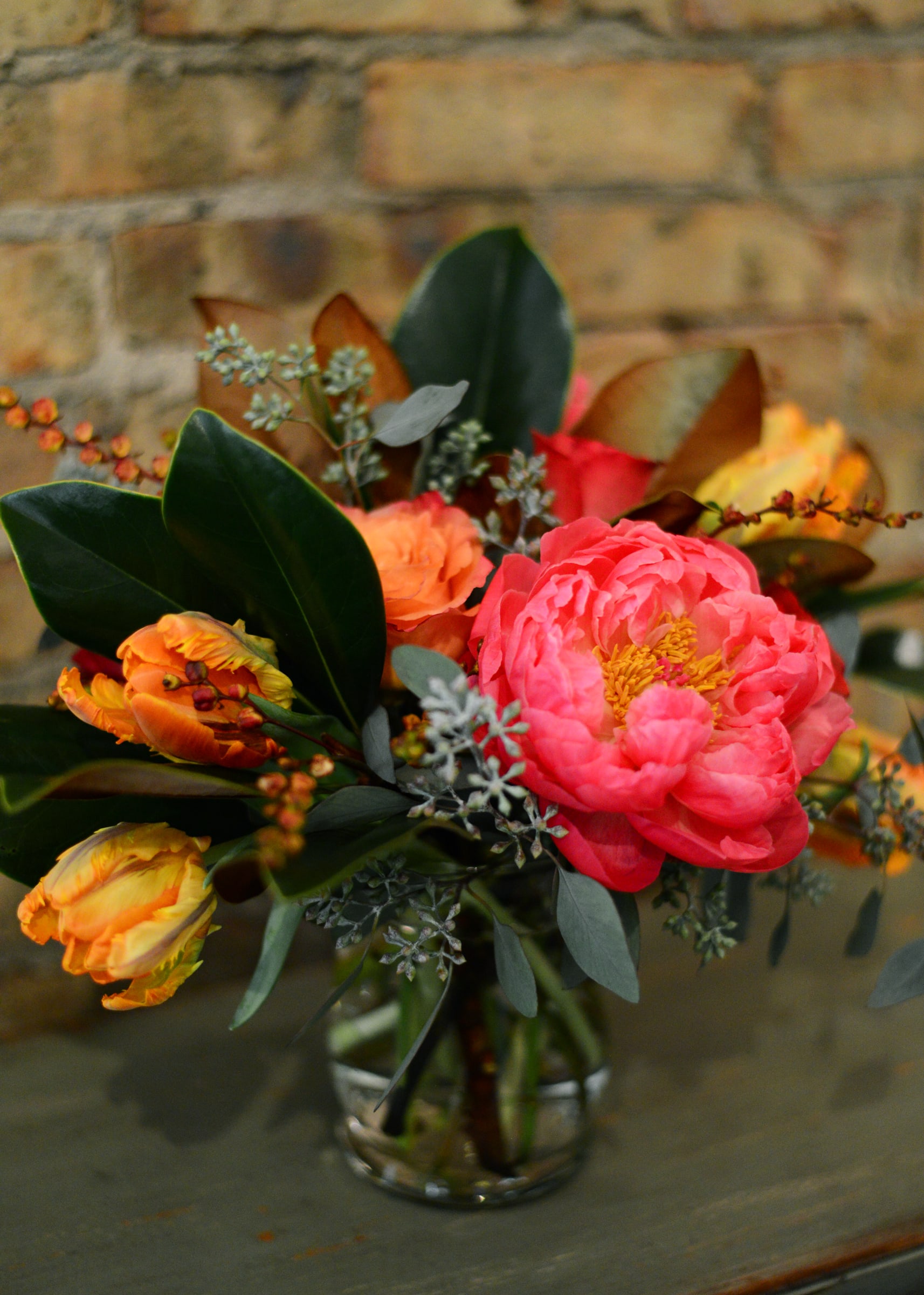 Winter Peonies in Wheaton, IL Andrew's Garden
