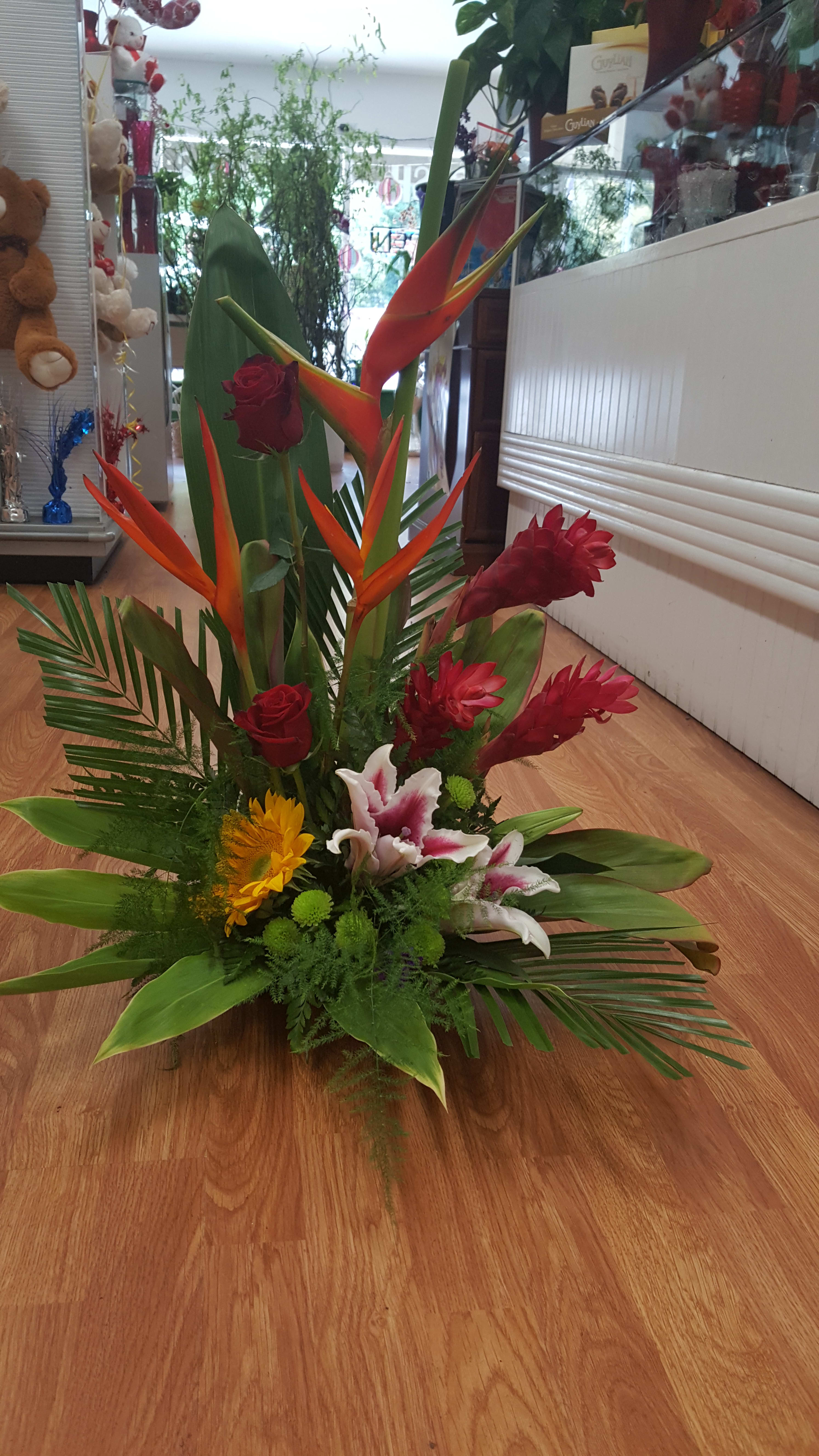 Tropical Flower Mix in Santa Rosa, CA | Bevess Floral