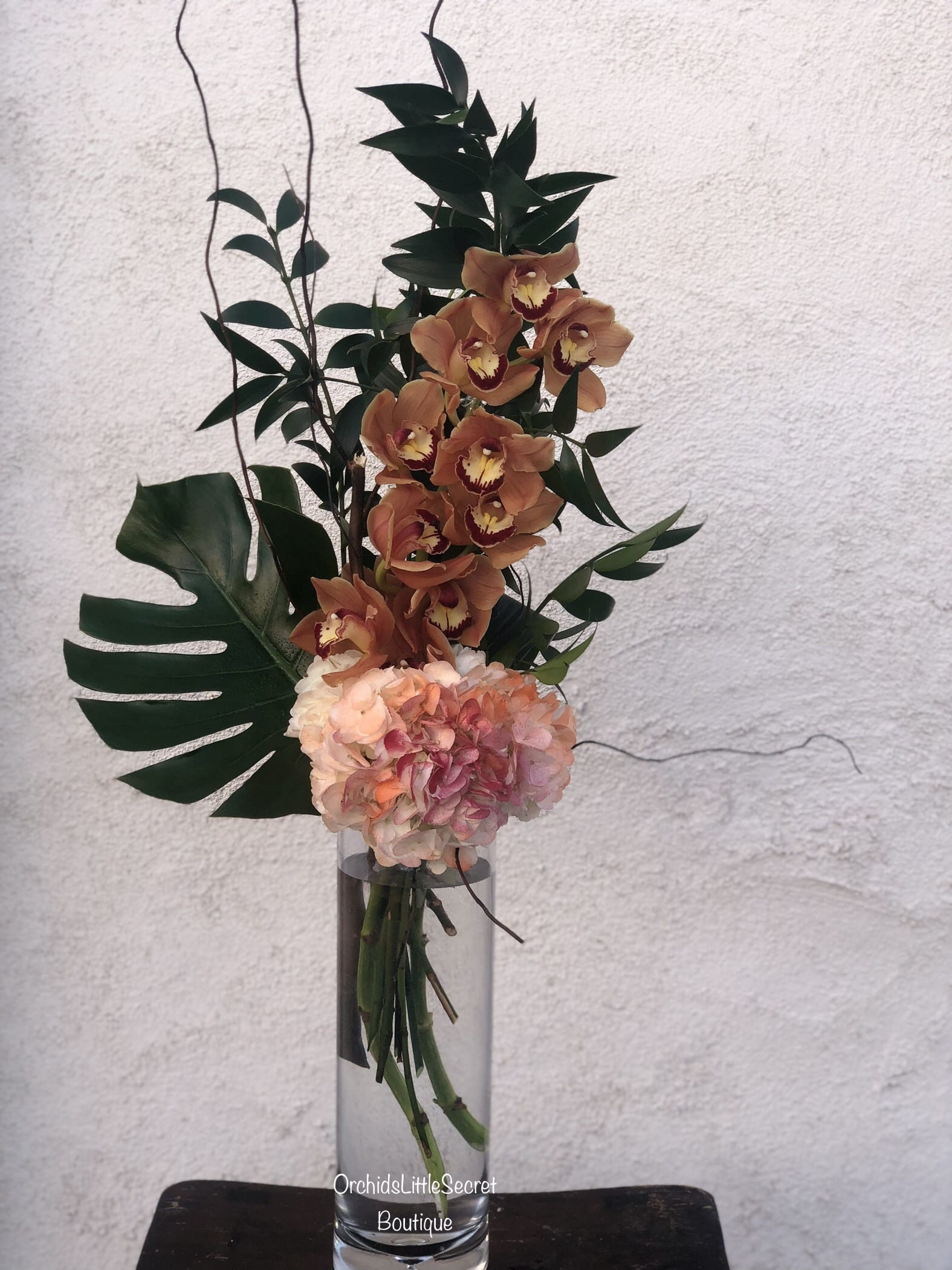 Cymbidium Orchid Burgundy