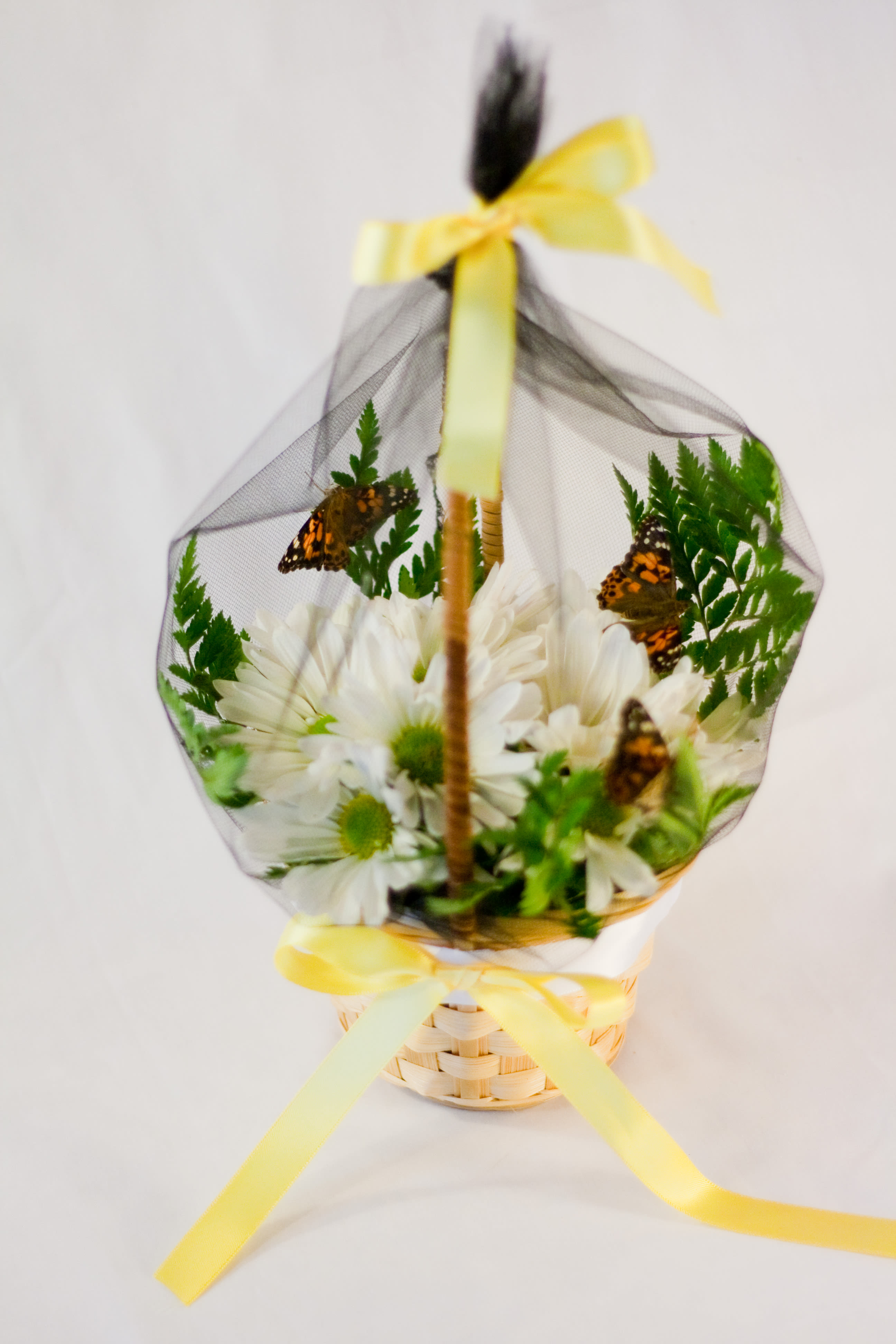 Butterfly Kisses Basket Bouquet in NEW CASTLE, PA Butterfly Wish Bouquets