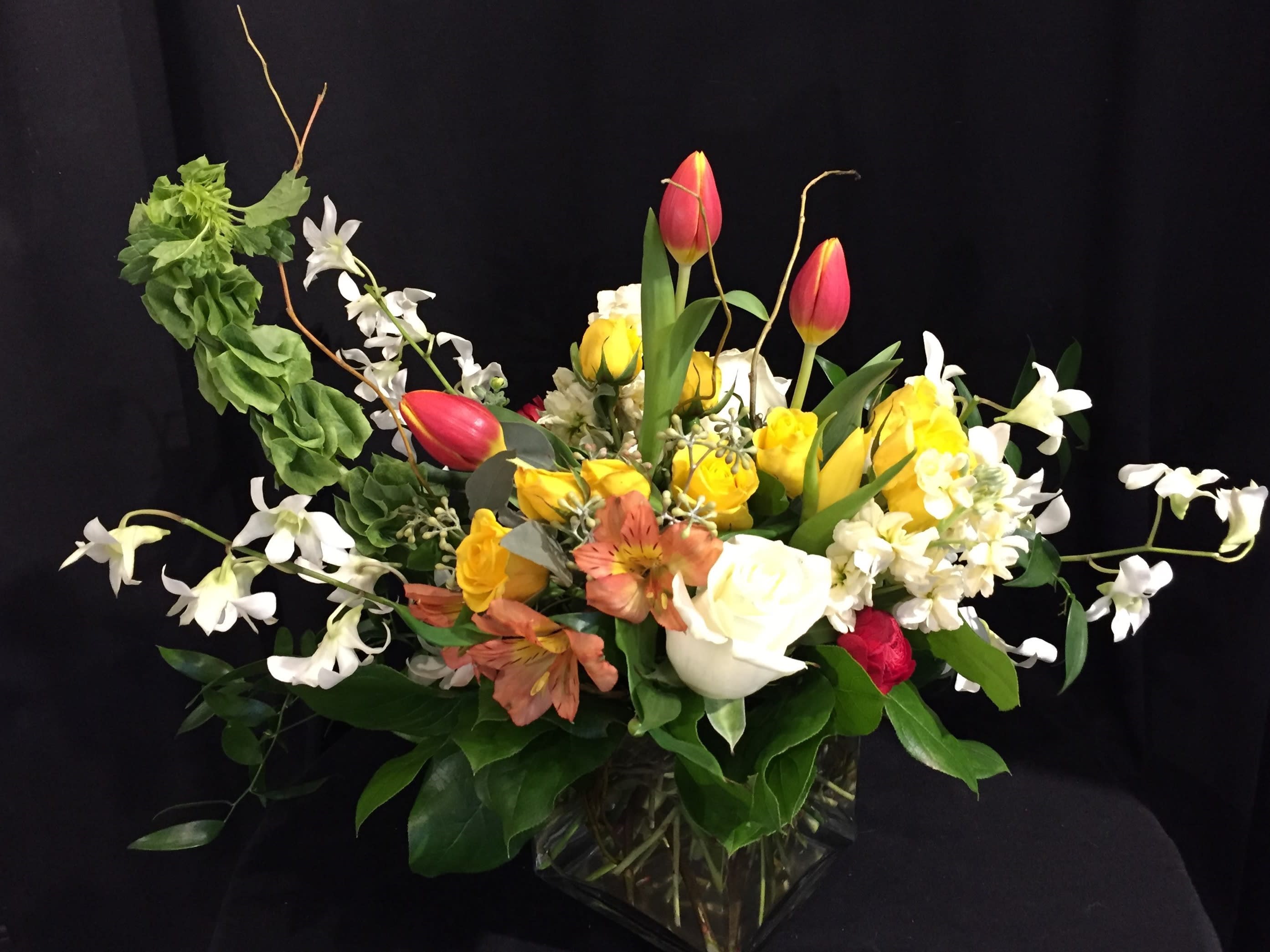 Tulip, Rose & Orchid Garden in Denver, CO The Twisted Tulip