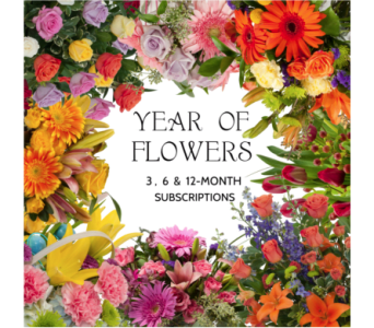 flower subscription 3 6 or 12 months by prestons flowers 12 months in a year