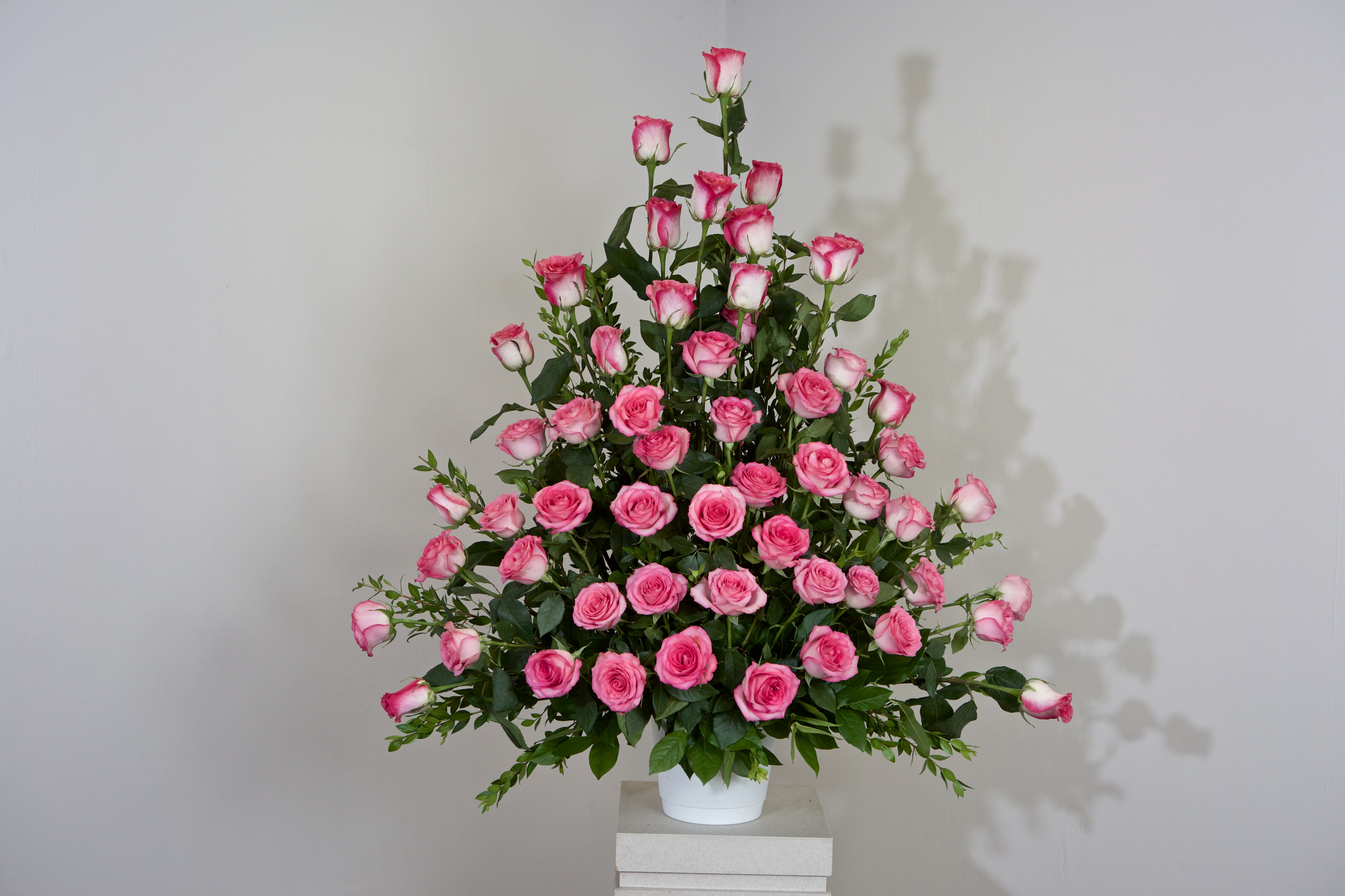 Classic Roses in El Cajon, CA Wild Orchid Florist