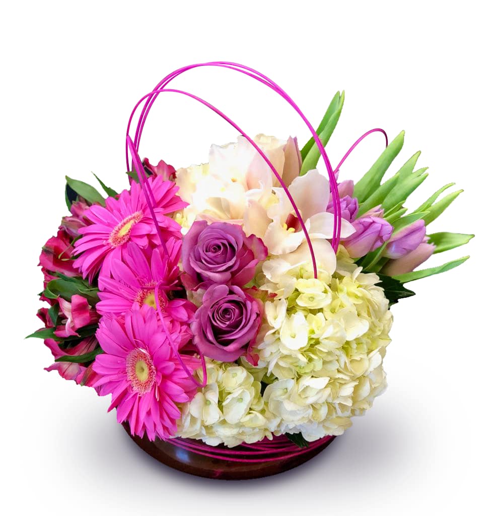 Dancing Gerbs By Newport Florist NF279 in Newport Beach, CA Newport