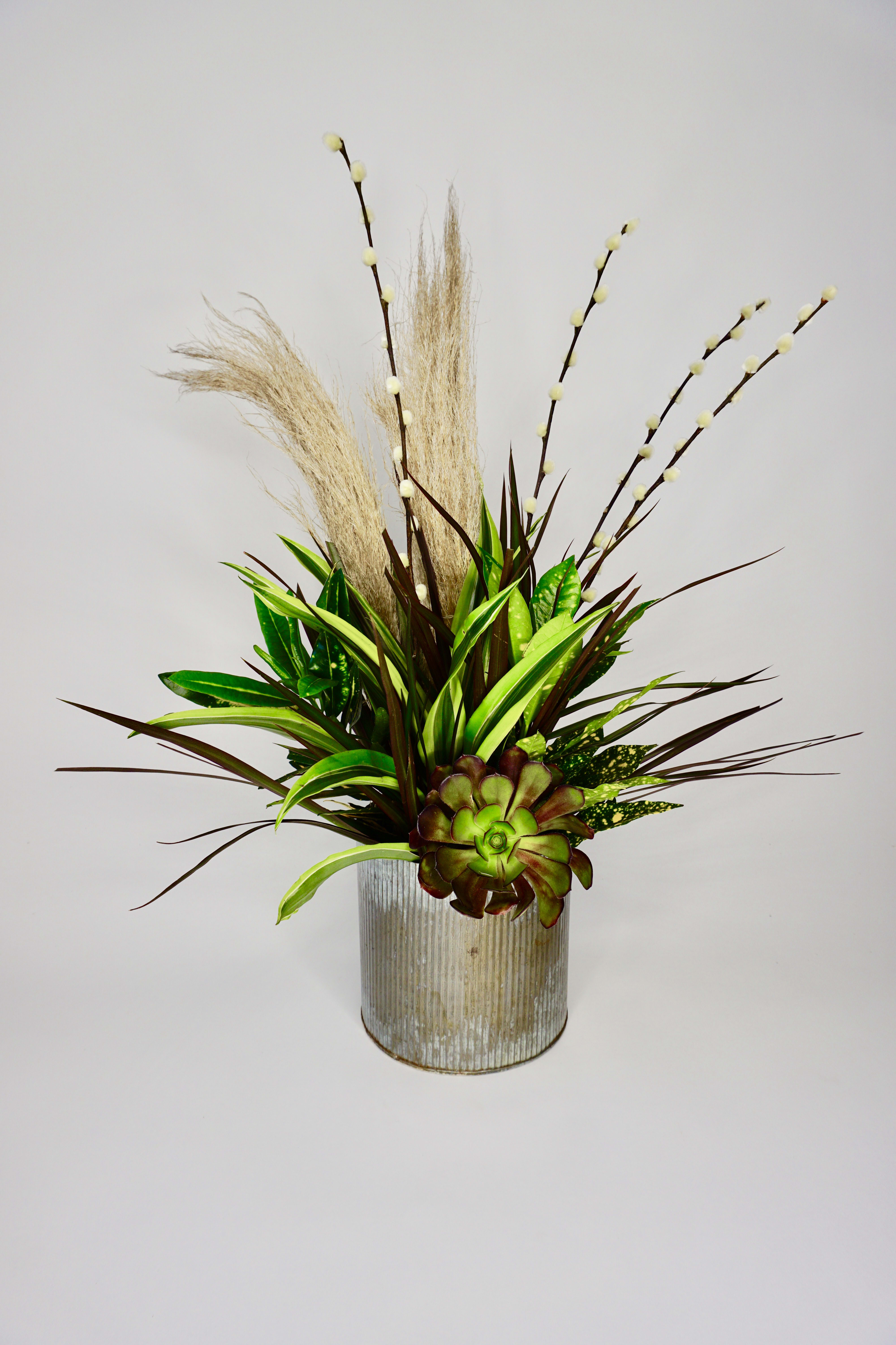 Pampas Willow in El Cajon, CA Wild Orchid Florist