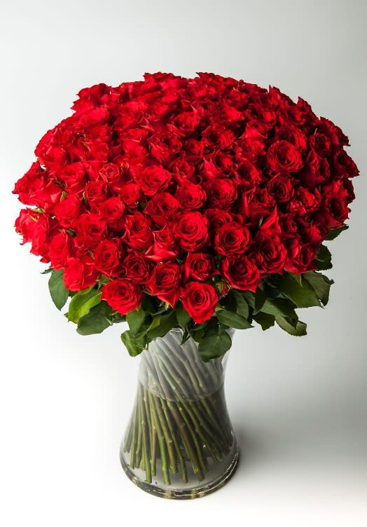 100 Long Stem Red Roses On Sale In San Diego Ca San Diego