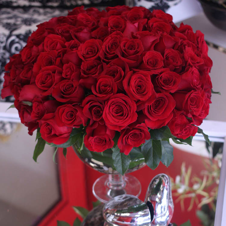 royal roses in glen