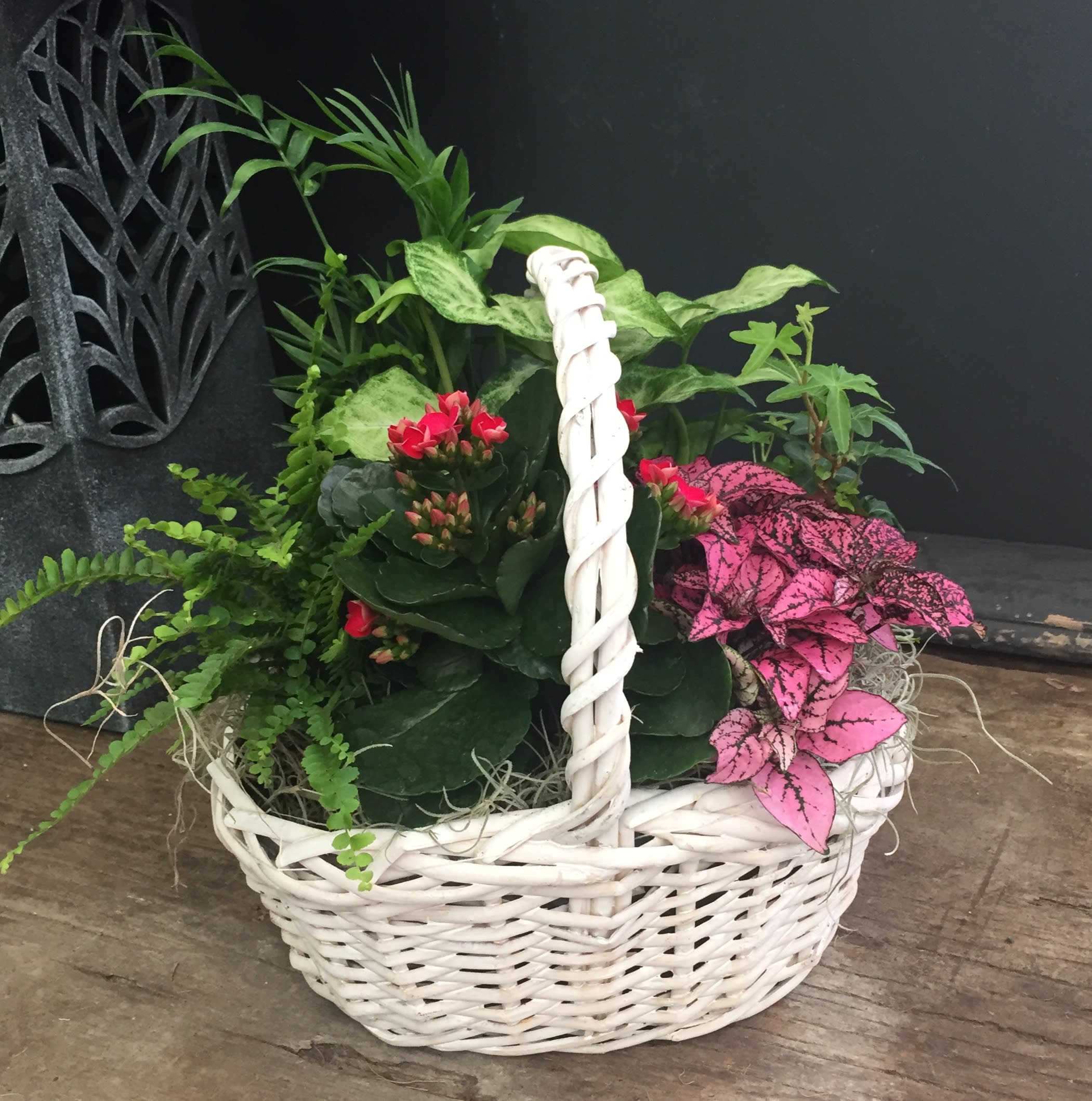 Angie S Flower Basket In Pottstown Pa Achin Back Garden Center