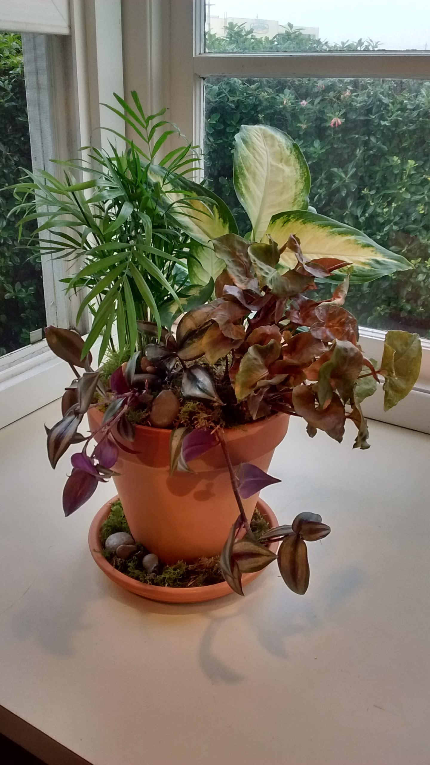 Potted Garden in Newport, OR Newport Florist and Gifts